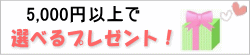 �ץ쥼��ȡ����ǥ���