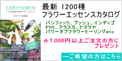 �ե����å��� �����������缫�������£��ʪ