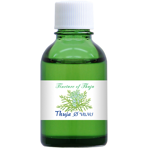 MT)Thuja-V0M5 Φ（20ml） スーヤV0M5　マザーチンクチャー　ホメオパシージャパン